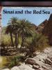 תמונה של - Sinai and the Red Sea