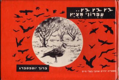 רץ רץ רץ עפרוני מצוייץ