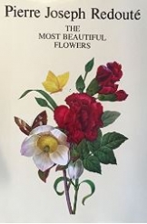 The Most Beautiful Flowers Pierre Joseph Redoute