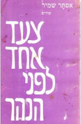 צעד אחד לפני הנהר אסתר שמיר