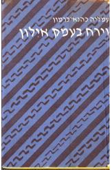 וירח בעמק אילון עמליה כהנא כרמון 