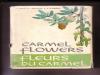 תמונה של -Carmel Flowers