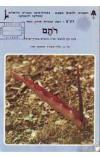 תמונה של - רותם כתב עת לנושאי שדה בוטניים בארץ ישראל מספר 16 1985 