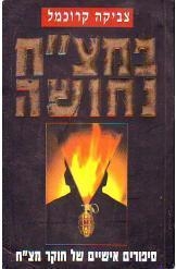 תמונה של -במצ"ח נחושה צביקה קרוכמל נ