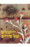 תמונה של - ירושלים של פרחים  יעקב שקולניק שי גינות