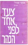 תמונה של -צעד אחד לפני הנהר אסתר שמיר