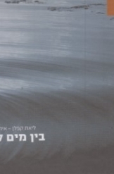 תמונה של - דיסק ליאת קפלן איתי רוזנבאום בין מים למים שני תקליטורים עברית אנגלית 