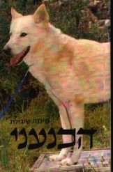 תמונה של - הכלב הכנעני מאת מירנה שיבולת 