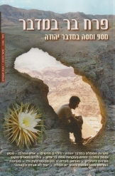 תמונה של - פרח בר במדבר מסע ומסה במדבר יהודה אריאל מ 