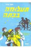 תמונה של -תעלומה בכיתה זאב ורדי