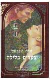 תמונה של -צעדים בלילה נורה רוברטס רומן רומנטי הרלקן
